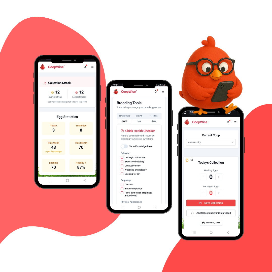 CoopWise mobile app screenshots showing egg tracking, brooding tools, and collection features