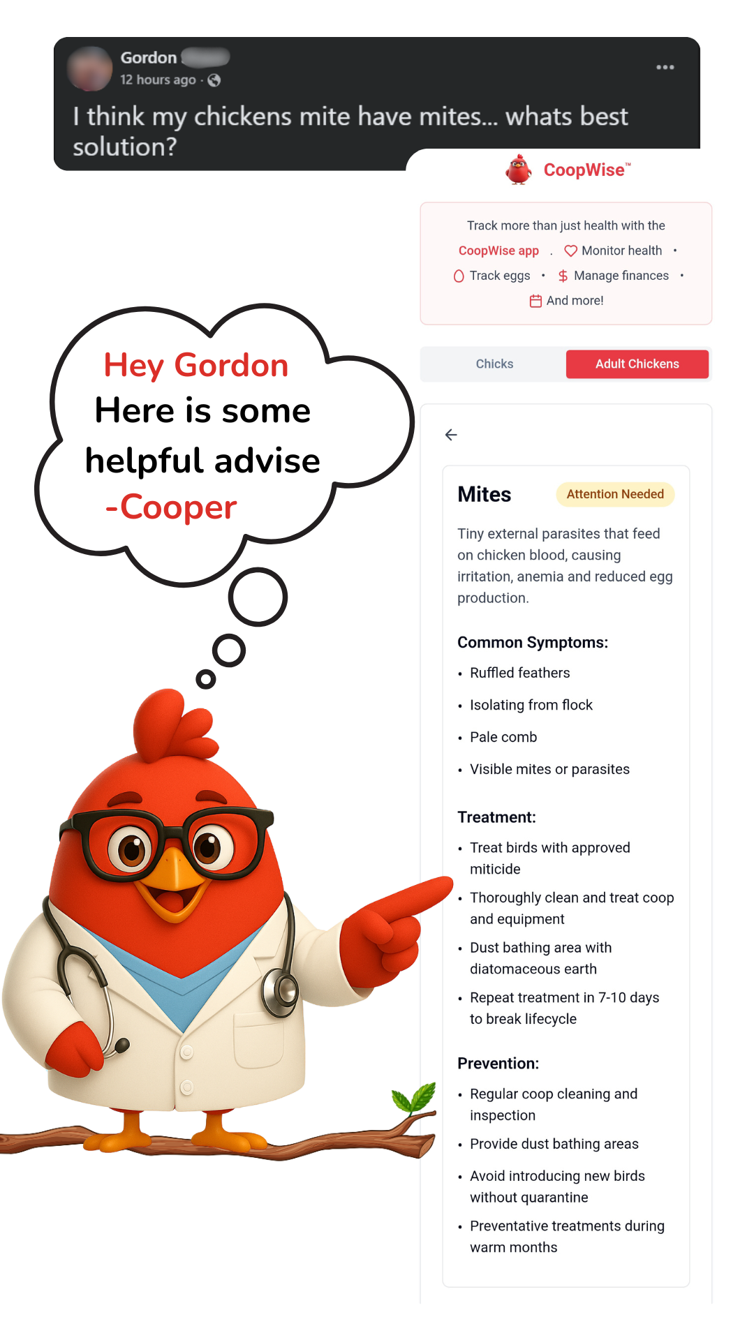 CoopWise AI assistant Cooper providing helpful advice about chicken mites