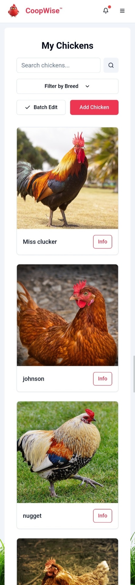 Individual chicken profile interface